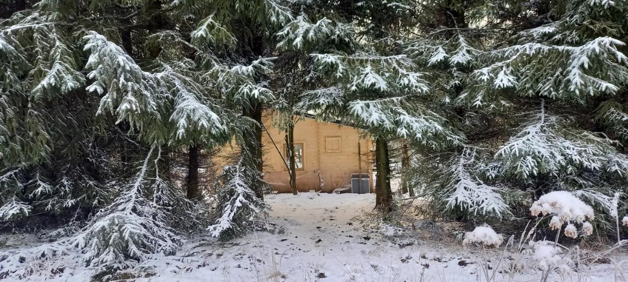 Ferienhaus Heartspace Taszow